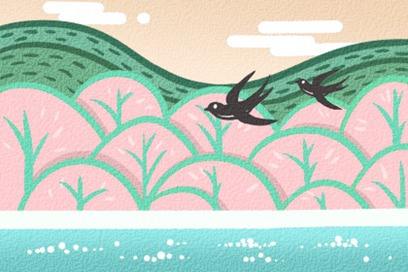 2021年的太阳能术是什么来源和引入的是什么? 2021年的太阳能术是什么来源和引入的是什么?