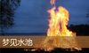 梦见水池