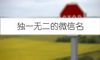 独一无二的微信名