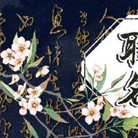 2022年的老虎,宝贝宝贝最好的名字推荐创新名称