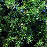 我可以在2022年2月14日签订合同吗?这一天好吗?