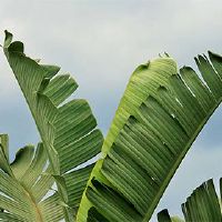 2022年,刺激性适合于2月的第三年挑选汽车。你应该注意什么?