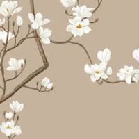 车牌数字加起来总和14不好吗 有福的车牌号码盘点