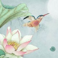 5个数字能组成多少组车牌号 吉利的车牌尾数推荐