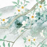 车牌120好不好 车牌号120代表啥意思