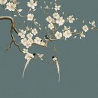 2022年立春后才是虎年吗 虎年犯太岁生肖大盘点