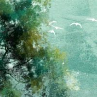 梦见她的女儿失去了地板