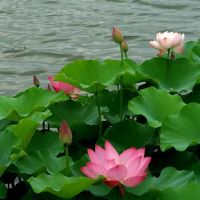 如何在上午11点7月5日获得有用的名称