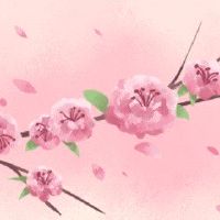 庚辰日至2022年的桃花运 红鸾星照拂加官进爵