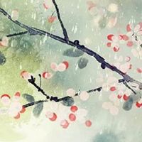 摆房间招桃花的花有哪些 玫瑰寓意爱情降临