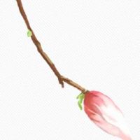 2022年正月初五出生的男孩是什么命 五行缺什么