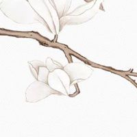 2022年正月初六出生的宝宝是什么命 五行旺缺查询