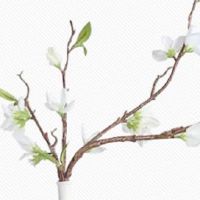 2022年正月初八出生的宝宝好不好 是什么命五行缺什么