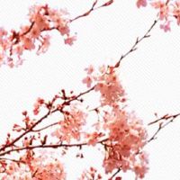 2022年正月初九出生的宝宝好不好 优雅迷人有天分