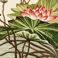 个体工商户起名参考 常用招财店铺起名用字