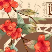 江苏新年前夕,整个大熟丝并不油腻