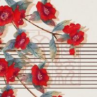 这一生不好,如何转动红绳