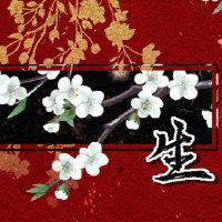 十二年十二生肖成功