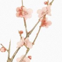 2022年正月十五元宵节出生男孩是什么命 五行缺什么