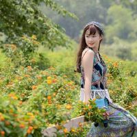 十二个星座的最不连续的职业,以及在两次明星后保留的概率