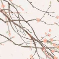 69年属鸡人未来十年运程 2022年之后运势解析