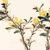 1981年属鸡人一生运势及运程 事业发展青云直上