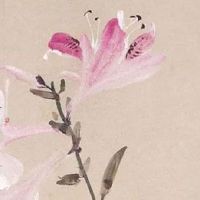 山东过年拜年磕头象征意义 北方拜年讲究"孝"道