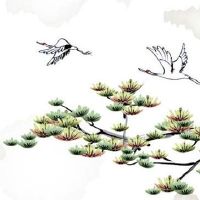 山东过年特色菜 春节吃的特色美食盘点