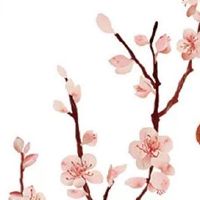 搬家前一天需要做什么 灯火备齐未来红火