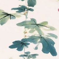 车牌5678顺子号价格 区号估价法计算车牌号码值钱程度