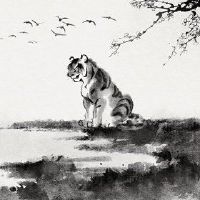 老虎:2022的颜色是什么?