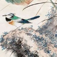 车牌号123和567哪个好 大吉聚财的热门号码