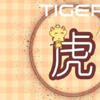 1974年,老虎是最坦诚的月份,今年如何转让