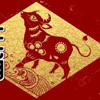 属牛天蝎座2022年运势完整版 整体运势较为喜人