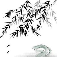 1941年出生3022财年如何?