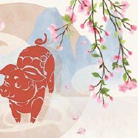 男孩和女孩的特征特征是2月19日生日男孩和女孩的特征。