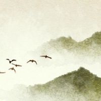 这个女孩出生在第一个月的第一个月,陈述是什么?