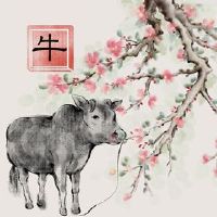 今年1949年的2022财年如何?