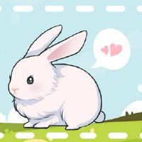 2022只兔子的兔子多大了2022年总财富分析