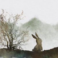 这是86名出生的36岁的兔子人注定要有两个婚姻?