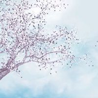 2022年5月25日出行好吗 农历四月二十四这天日子如何