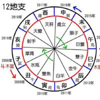 八字五行金偏旺好吗?