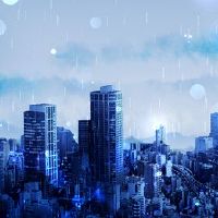 2022晓飞新搜索店铺