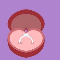 黄道带是虎2022年婚姻日期订婚日期