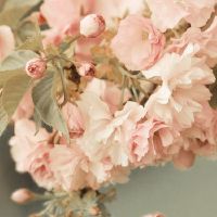 个性签名大全2022最新版的