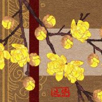 最佳Xiyun方向11月9日2022年