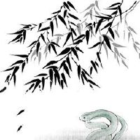 77年蛇五行属火还是属土 火蛇之命受太岁影响