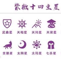 紫微斗数看事业:财帛宫巨门庙旺平陷