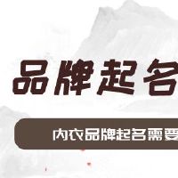 内衣品牌起名需要参考什么