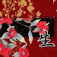 兔子加龙必须有一些东西可以理解吗?